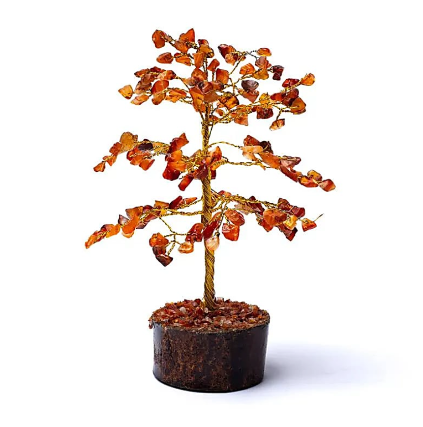 Korallenbaum - Tibetwelt