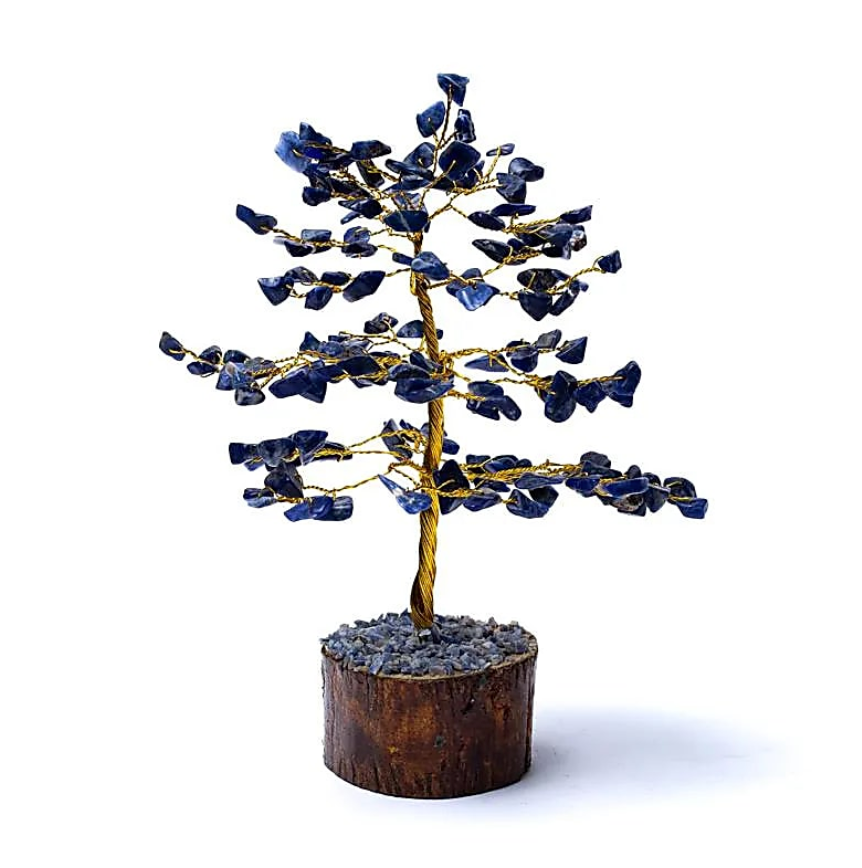 Sodalitätsbaum - Tibetwelt