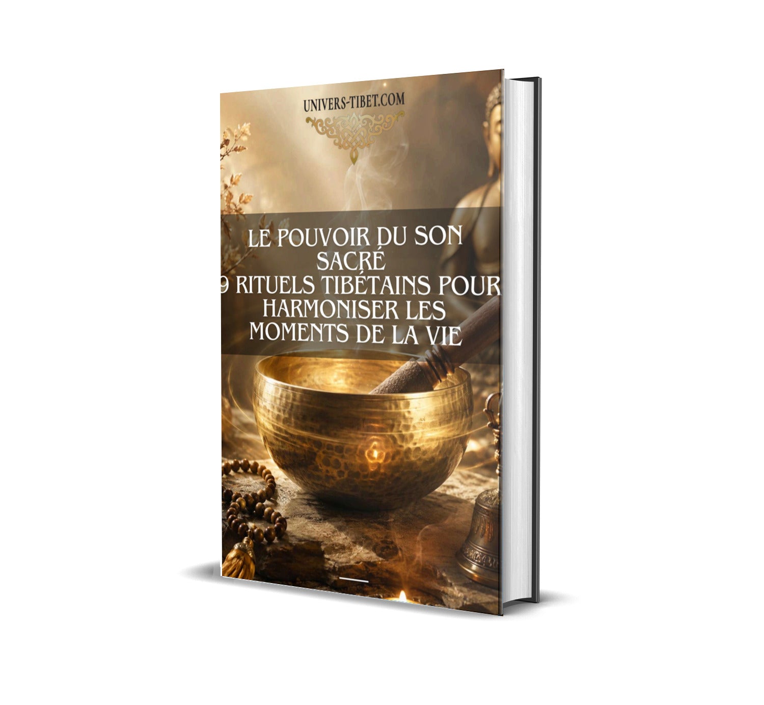 Couverture du Guide le Pouvoir du Son Sacre