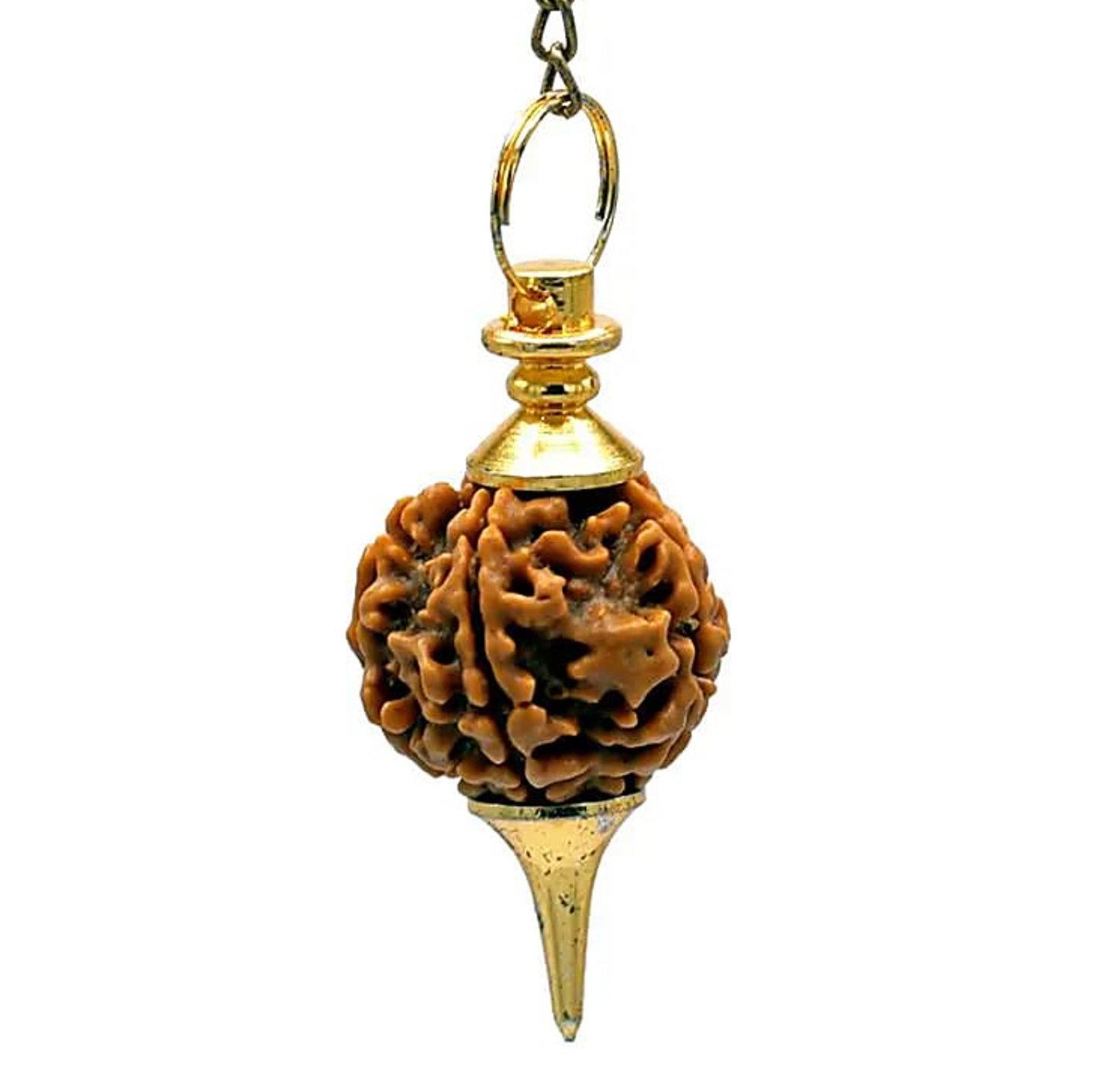 Goldene Pendel mit Rudraksha - Tibetwelt