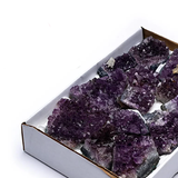 Amethyst - Tibetwelt