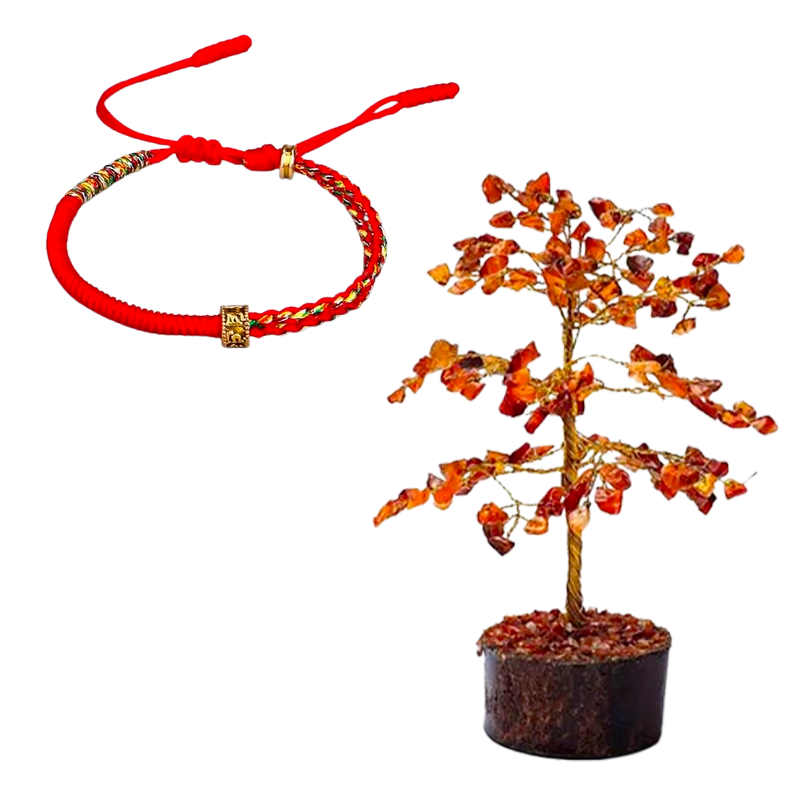 Zen Plenitude Box (Wert 36,10 €)